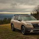 Bronze SUV parked on a grassy hillside.